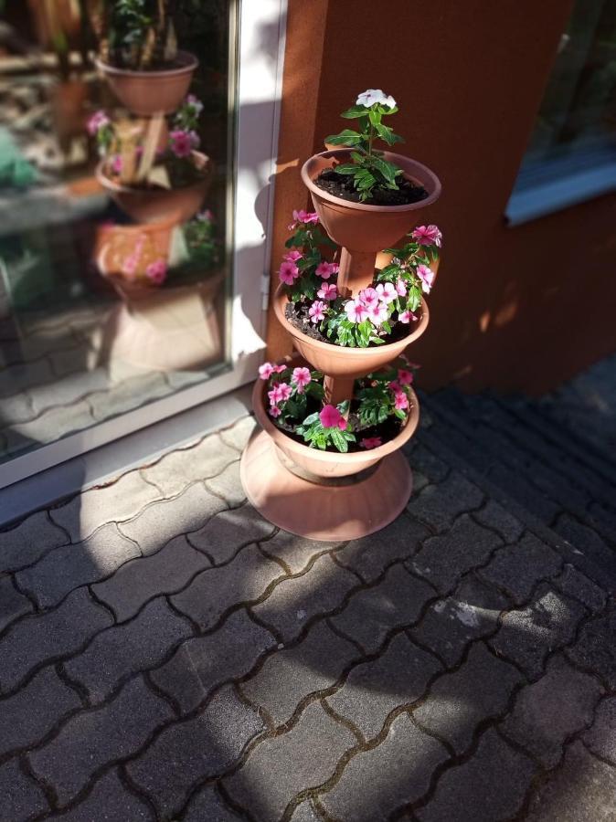 מלון Balatonföldvár Pergola Panzio מראה חיצוני תמונה